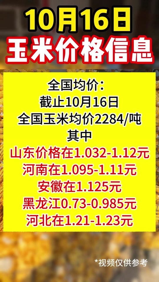 小麦玉米最新价格动态与市场影响深度解析